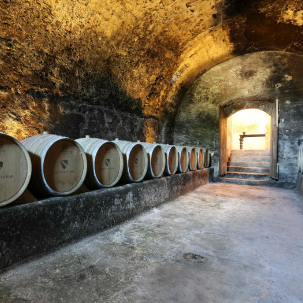 Château de La Mar - Marestel - 