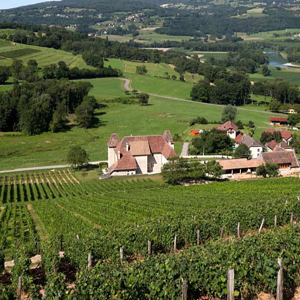 Château de La Mar - Pinot - 2018