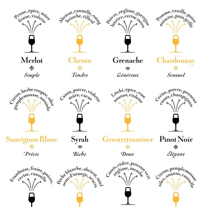 Les cépages et leurs arômes dominants