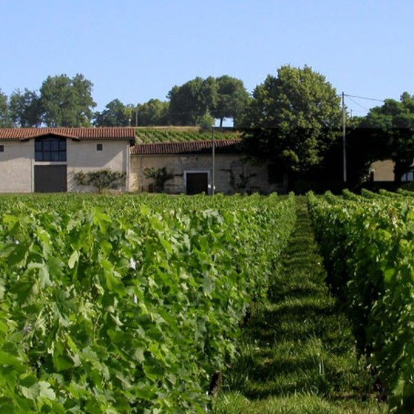 Château Barrabaque - Rosé