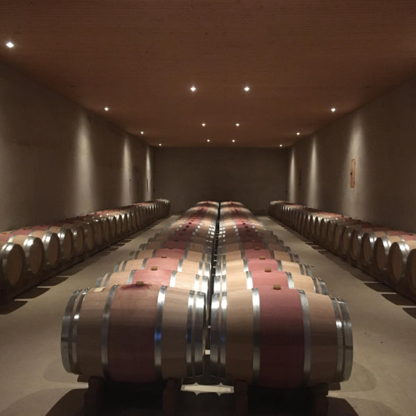 Château Ferrand 2018 - Pomerol