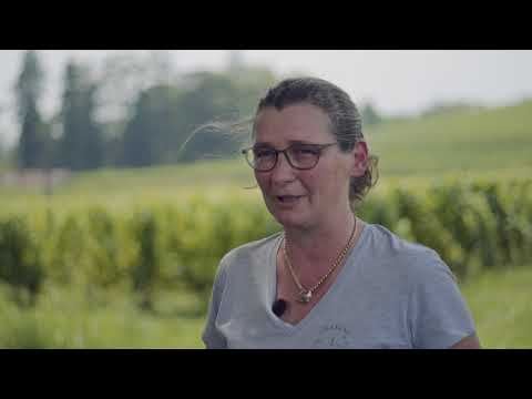 Château Barrabaque Tradition - Fronsac