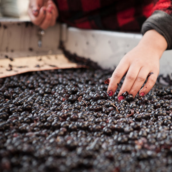 Château Clarisse - Puisseguin Saint Emilion 2014