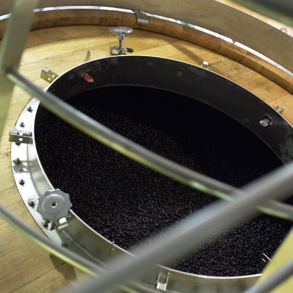 Les Eclats de Branas 2016 - Moulis en médoc