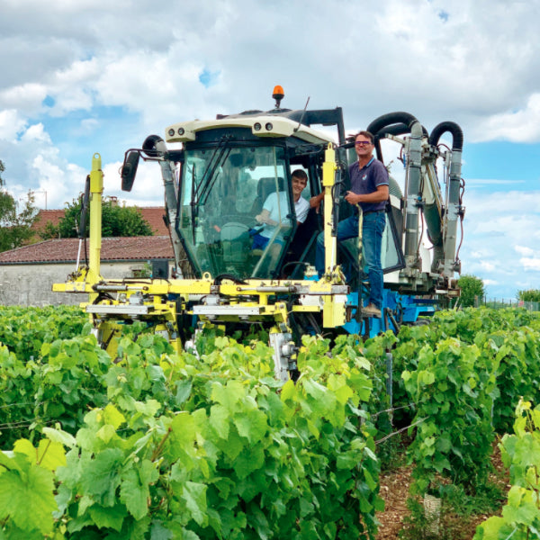 Domaine Gueguen - Chablis Premier Cru - Vaucoupin - 2019