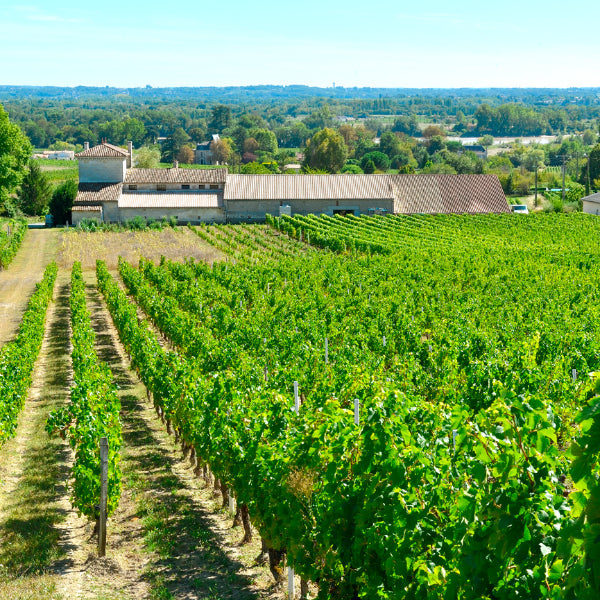 Château Barrabaque Tradition - Fronsac