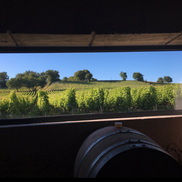 Château Barrabaque Tradition - Fronsac